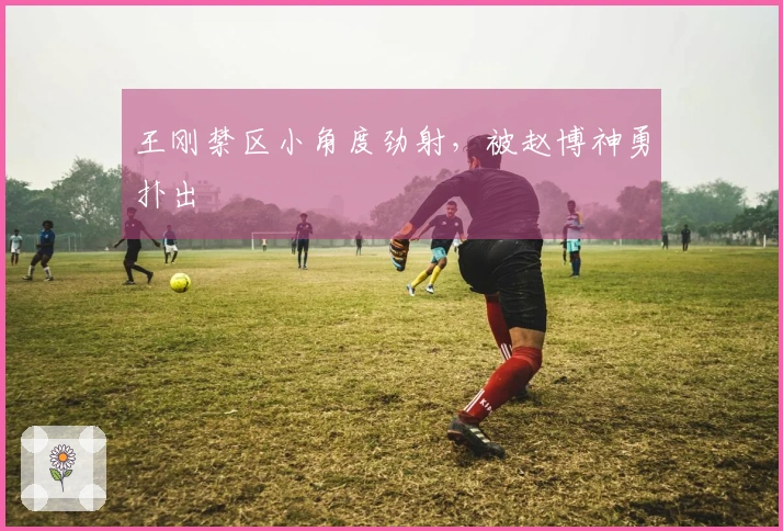 王刚禁区小角度劲射，被赵博神勇扑出